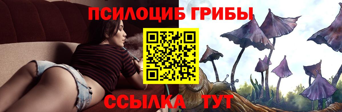 Псилоцибиновые грибы MAGIC MUSHROOMS  Галлюциногенные грибы мицелий  Вход с VPN  Ногинск 
